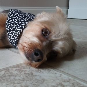 Meet your Posher, Janine